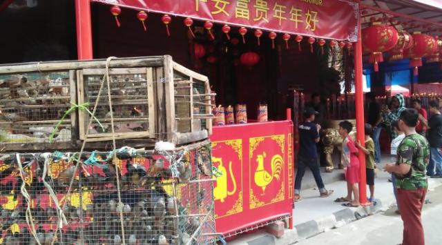 Imlek 2017 Kantong Pedagang Burung Pipit Makin Tipis Kurio